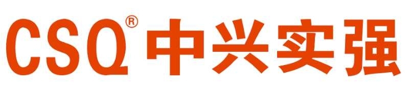 遼寧中興實(shí)強(qiáng)新材料股份有限公司